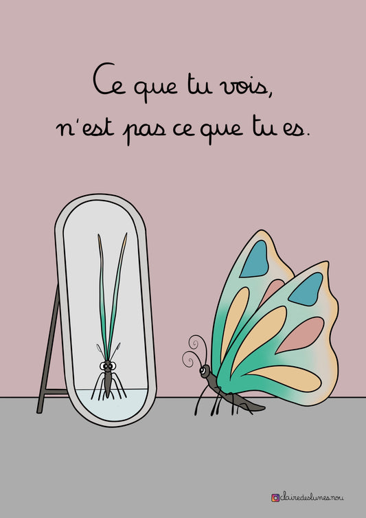 Ce que tu vois…